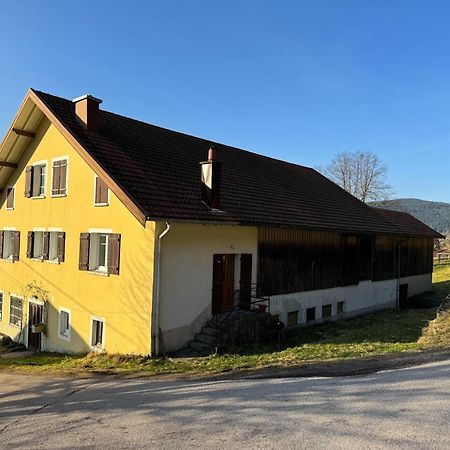 Chalet Cosy Lisiere De Foret Xonrupt-Longemer Eksteriør billede