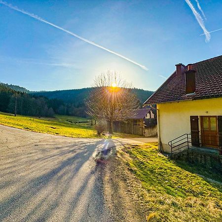 Chalet Cosy Lisiere De Foret Xonrupt-Longemer Eksteriør billede