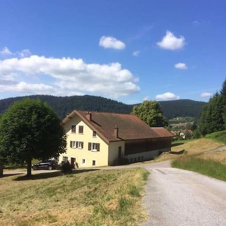 Chalet Cosy Lisiere De Foret Xonrupt-Longemer Eksteriør billede
