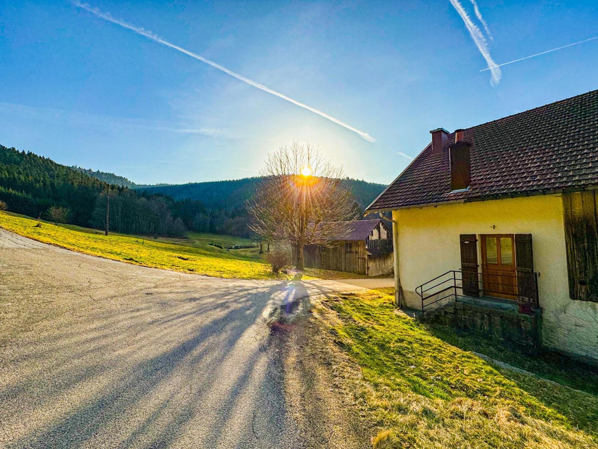 Chalet Cosy Lisiere De Foret Xonrupt-Longemer Eksteriør billede