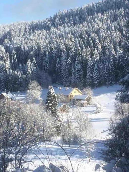 Chalet Cosy Lisiere De Foret Xonrupt-Longemer Eksteriør billede