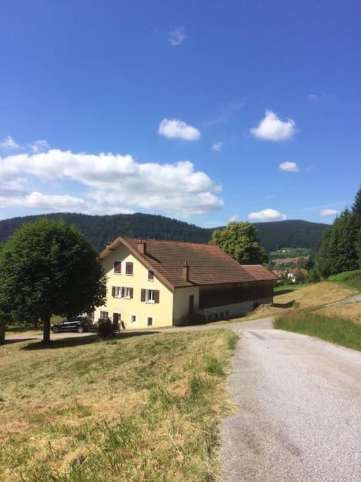 Chalet Cosy Lisiere De Foret Xonrupt-Longemer Eksteriør billede