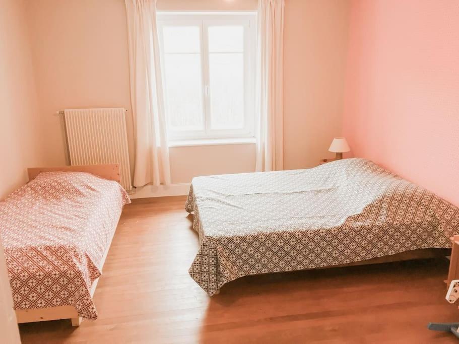 Chalet Cosy Lisiere De Foret Xonrupt-Longemer Eksteriør billede