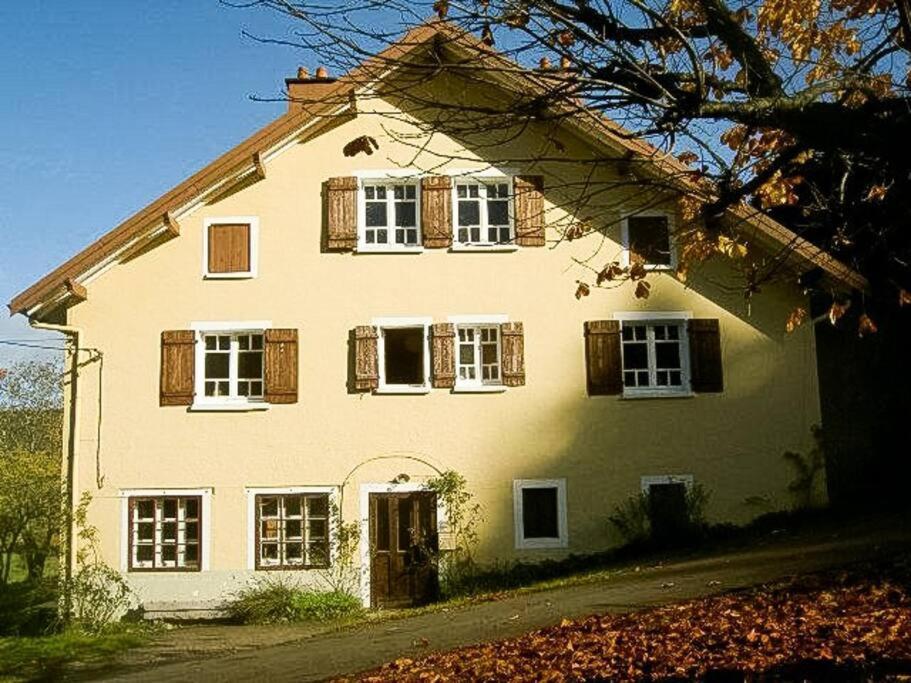 Chalet Cosy Lisiere De Foret Xonrupt-Longemer Eksteriør billede