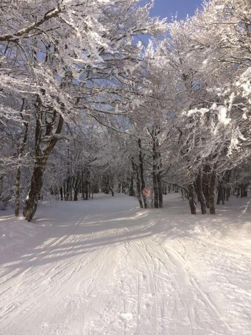 Chalet Cosy Lisiere De Foret Xonrupt-Longemer Eksteriør billede
